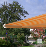 Markýzy